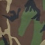 Woodland Camo